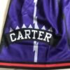 RAPTORS VINCE CARTER 15 | MEN'S CUSTOM PURPLE DINO SWINGMAN SHORT PANTS NBA